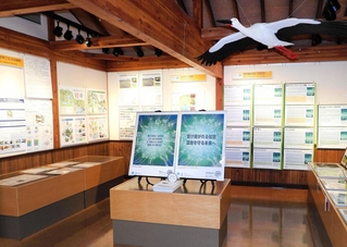 湿地の大切さを伝えるパネル展＝コウノトリ文化館（コウノトリの郷公園提供）