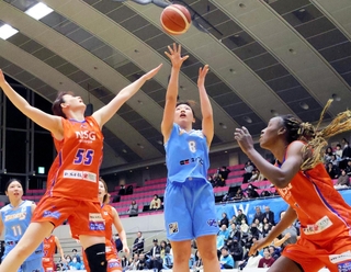 今季はリーグ参入後最多の６勝と奮闘も、移転が決まった姫路＝２０２５年１１月２９日、ヴィクトリーナ・ウインク体育館