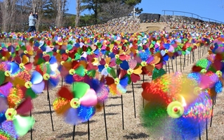 カラフルに丘を彩る風車＝淡路市夢舞台、国営明石海峡公園