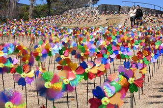 カラフルに丘を彩る風車＝淡路市夢舞台、国営明石海峡公園