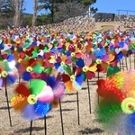 カラフルに丘を彩る風車＝淡路市夢舞台、国営明石海峡公園