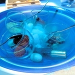 スペイン・サルバドール・ダリ／ポテトの器に仕立てたクレマカタラーナ　モカジェラートとミックスベリー