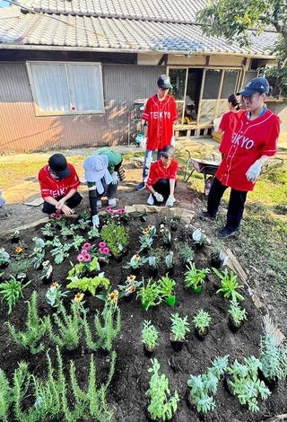 加西市にある古民家の裏庭でハーブを育てる学生たち（増田里香教授のゼミ提供）