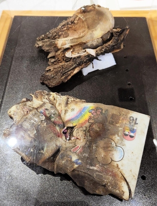 愛梨ちゃんの遺品となったクレヨンケースと上履き。地域の伝承交流施設に展示する＝宮城県石巻市門脇町５