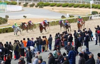 姫路競馬場＝姫路市広峰２（資料写真）