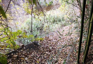 自宅を出て約１カ月後に女性が見つかった現場＝神戸市北区