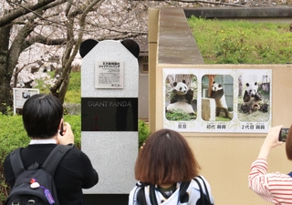 お披露目された石碑。大勢のパンダファンが駆けつけた＝３１日午前、神戸市灘区王子町３（撮影・吉田敦史）