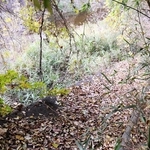 自宅を出て約１カ月後に女性が見つかった現場＝神戸市北区