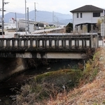 「地域協働インフラメンテナンス事業」を活用した伐採について説明する、中筋地区自治会の野上雅一会長＝南あわじ市中条中筋