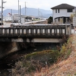 「地域協働インフラメンテナンス事業」を活用した伐採について説明する、中筋地区自治会の野上雅一会長＝南あわじ市広田