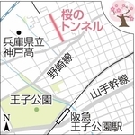 「桜のトンネル」の地図