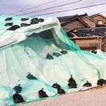 能登半島地震で全壊した国指定重要文化財の「旧角海家住宅」（手前）と黒い屋根瓦が落ちた民家＝２０２５年８月１７日、石川県輪島市門前町黒島町