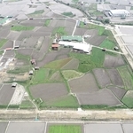 ほ場整備前の南あわじ市国衙地区（洲本土地改良事務所提供）