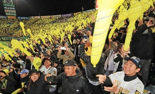 ジェット風船が再開され、歓喜する阪神ファンら＝７日夜、西宮市の甲子園球場（撮影・吉田敦史）