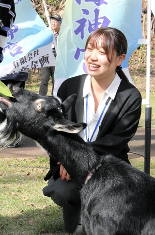 ヤギと戯れる子どもらを見守る名桜大学の小溝亜美さん＝沖縄県本部町