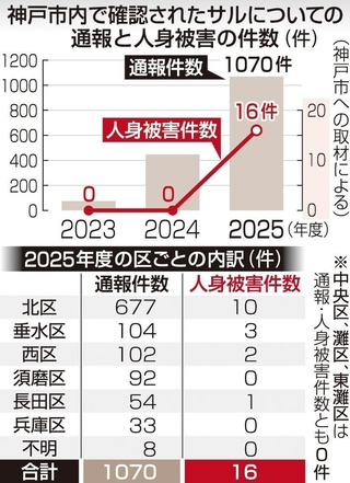 神戸市内で確認されたサルについての通報と人身被害の件数