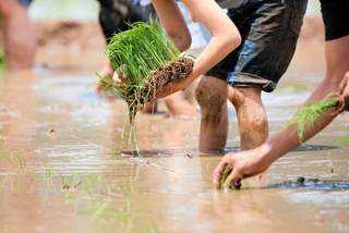 神戸新聞ＮＥＸＴ