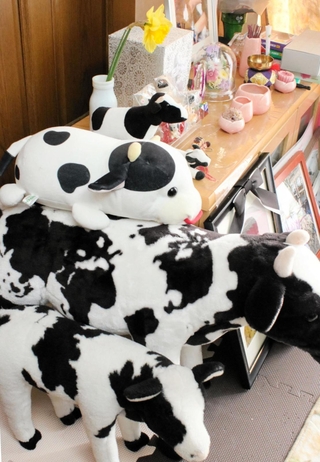 過労自死した女性獣医師の祭壇には、生前集めていた牛のぬいぐるみが飾られている＝兵庫県阪神地域