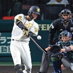 阪神-ヤクルト　５回裏阪神１死二、三塁、中野拓夢が右犠飛を放ち２-１と勝ち越す＝甲子園球場（撮影・吉田敦史）