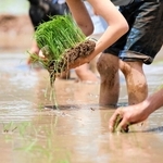 神戸新聞ＮＥＸＴ