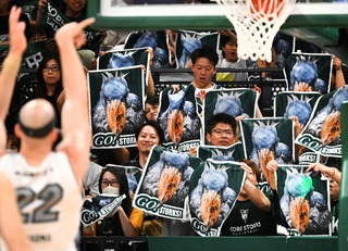 客席ではにらみを利かせるハシビロコウ。相手にプレッシャーを与える＝神戸市中央区のジーライオンアリーナ神戸