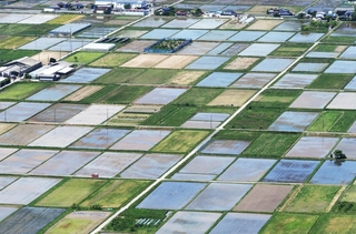 水田の水鏡や畑が多彩な「色」を生み、パッチワークのような光景が広がる＝丹波市春日町