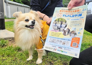 「散歩しながら防犯を」。始動した「わんわん見守り隊」＝神戸市兵庫区御崎町１