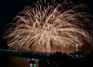 相生ペーロン祭の海上花火大会で夜空を彩った花火＝３０日夜、相生市の相生湾（撮影・中西幸大）