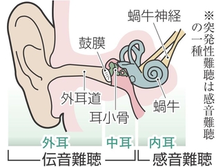 神戸新聞NEXT
