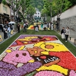 花絵で彩られた神戸・北野坂＝３日午後、神戸市中央区山本通（撮影・鈴木雅之）