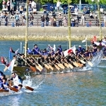 力強く船を進めるこぎ手たち＝３１日午後、相生市の相生湾（撮影・中西幸大）