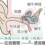 神戸新聞NEXT