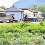 母娘の遺体発見現場（中央奥）付近の栗栖川を調べる捜査員＝４日午前１１時２２分、たつの市新宮町段之上