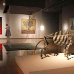 陶磁器の骨格標本や、横尾忠則さんが描いた絵画が並ぶ「怪奇」の部屋。中央に設けられた畳に上がると驚く仕掛けがある＝神戸市中央区脇浜海岸通１、兵庫県立美術館
