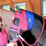 「モーっとクール」を巻いて出走を待つ渡瀬調教師が管理する競走馬の「ゴールデンスキーム」＝尼崎市、園田競馬場