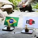 日本の「Ｊ」かブラジルの「Ｂ」か。アメリカビーバーの「マメ」はどちらを選ぶのか＝２８日午後、姫路セントラルパーク