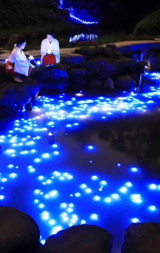 天の川のように光の帯が浮かんだ境内の池＝６日夜、西宮市社家町