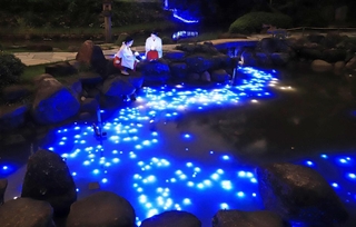 天の川のように光の帯が浮かんだ境内の池＝６日夜、西宮市社家町