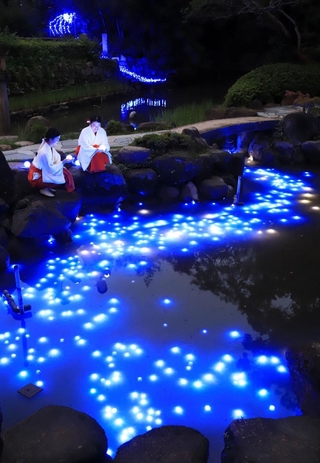 天の川のように光の帯が浮かんだ境内の池＝６日夜、西宮市社家町