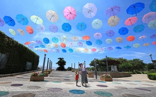 夏空を彩る色とりどりの傘＝淡路市夢舞台、国営明石海峡公園（撮影・丸山桃奈）