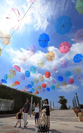 夏空を彩る色とりどりの傘＝淡路市夢舞台、国営明石海峡公園（撮影・丸山桃奈）