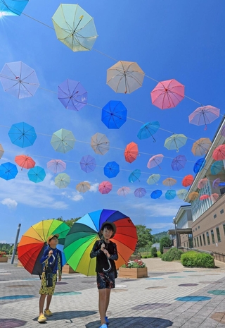 夏空を彩る色とりどりの傘＝淡路市夢舞台、国営明石海峡公園（撮影・丸山桃奈）
