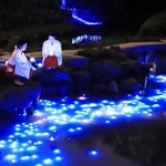 天の川のように光の帯が浮かんだ境内の池＝６日夜、西宮市社家町