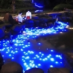 天の川のように光の帯が浮かんだ境内の池＝６日夜、西宮市社家町