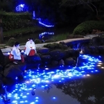 天の川のように光の帯が浮かんだ境内の池＝６日夜、西宮市社家町