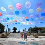 夏空を彩る色とりどりの傘＝淡路市夢舞台、国営明石海峡公園（撮影・丸山桃奈）