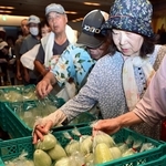 網干メロンの直売コーナーに詰めかけた来場者＝姫路市駅前町