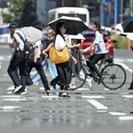 暑さの影響で市街地の道路に現れた「逃げ水」＝２４日午後、神戸市中央区