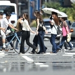 暑さの影響で市街地の道路に現れた「逃げ水」＝２４日午後、神戸市中央区