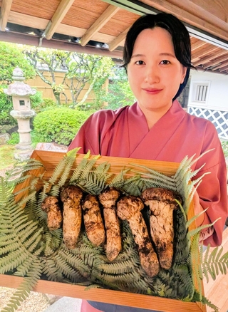 ６本１１０万円で落札された丹波篠山市産マツタケ＝同市二階町、近又